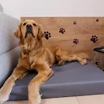 Dagi's Dolcevita *