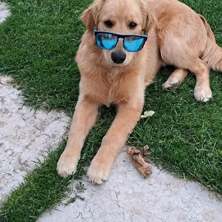 Dagi's Dolcevita